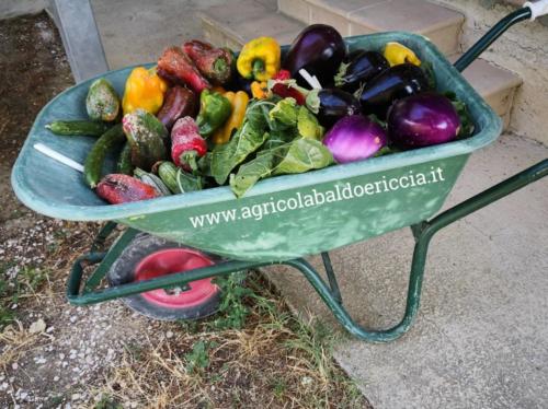 Agricola Baldo&Riccia_Ortaggi e Verdure fresche